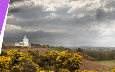 Top Things We Like to Do in Norfolk